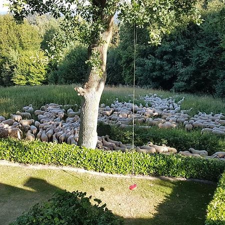 Ferienwohnung "Tecklenburger Augenblicke" Екстериор снимка